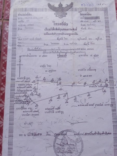 ขายที่ดิน-จำนวน28-ไร่-ที่ดินอยู่ฝั่งตรงข้ามโรงแรมปาล์มอิน-ต้นแซะ-โคกกลอย