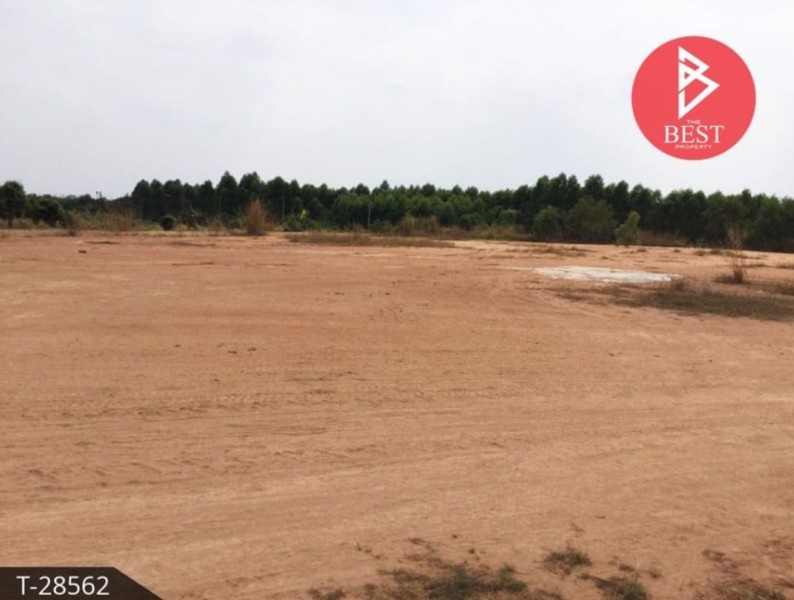 ขายที่ดิน-เนื้อที่-4-ไร่-2-งาน-พนัสนิคม-ชลบุรี