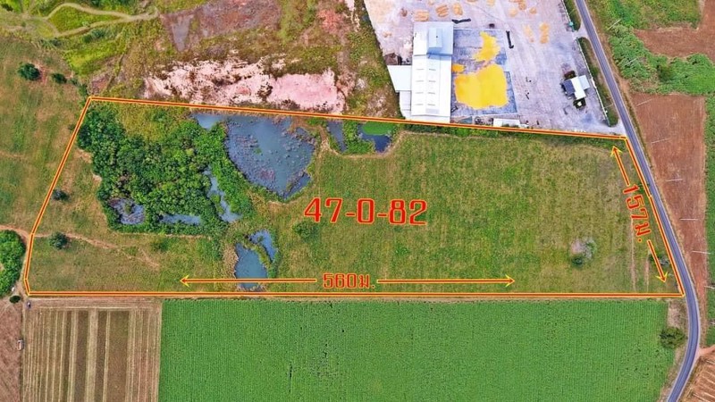 ขายที่ดิน-47ไร่-82-ตารางวา-วัดจริงเกือบ-50ไร่-ติดถนนลาดยาง157เมตร-ไฟฟ้าสามเฟสผ่าน-การคมนาคมสะดวก