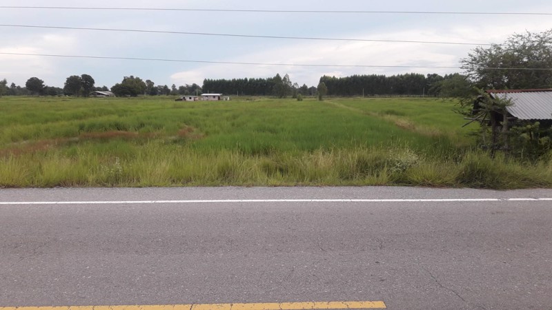 ขายที่ดิน-2-แปลง-5-ไร่-หน้ากว้าง-28-เมตร-และ-6-ไร่-หน้ากว้าง-32-เมตร-ถูกสุดๆ-เจ้าของขายเอง