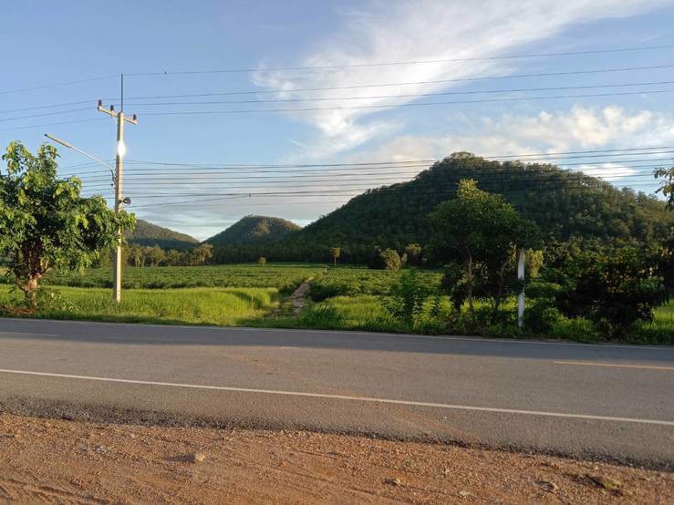 ขายที่ดิน-เนื้อที่-35-ไร่-33-ตารางวา-ที่ดินอยู่ติดถนนลาดยาง-อยู่ในเขตชุมชุนหมู่บ้าน-อยู่ใกล้-ตลา