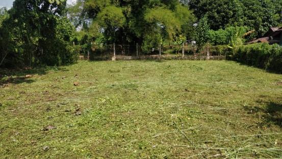 ที่ดินแปลงสี่เหลี่ยมสวยๆ-ใจกลางเมืองพร้าว-สงบร่มรื่น-ห่างถนนใหญ่ไม่ถึง-50-เมตรค่ะ