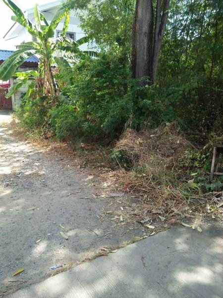 ขายที่ดินเปล่าถมแล้ว-176-ตรว-ซสุขุมวิท-115-ซอยเตกเฮงหยู-1-ใกล้สถานีรถไฟฟ้าปู่เจ้าสมิงพราย