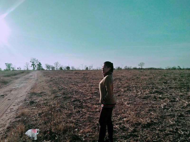 ขายที่ดิน-35-ไร่-ตห้วยบง-อด่านขุนทด-นครราชสีมา-ใกล้ทุ่งกังหันลม