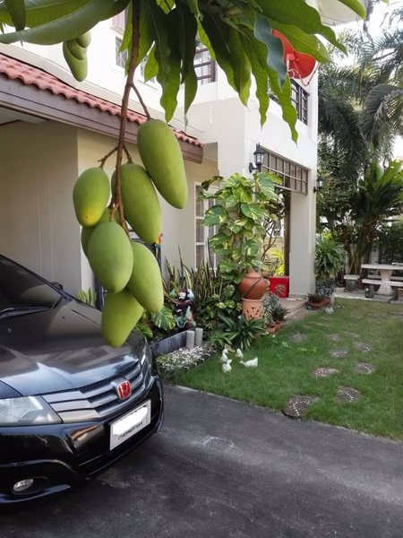 ขายบ้านเดี่ยว-มภัทรินทร์-คูบางหลวง-ปทุมธานี