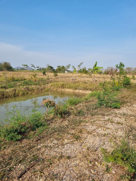 ขายที่ดิน-ที่ถมแล้ว-เนื้อที่-1-ไร่-พร้อมบ่อน้ำ