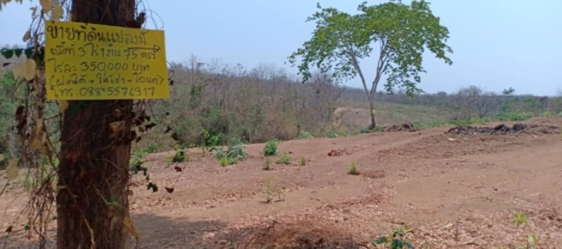 ขายที่ดิน-3-ไร่-1-งาน-74-ตรว