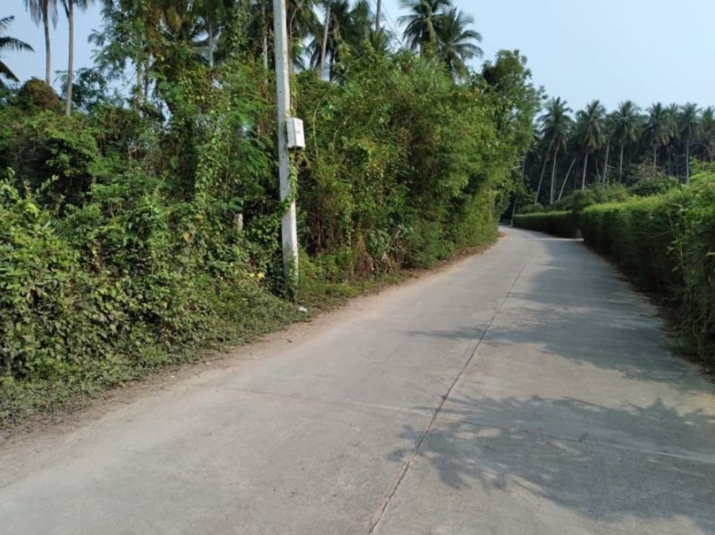 ขายที่ดิน-เนื้อที่-80-ตรว-ราคา-150000บาท