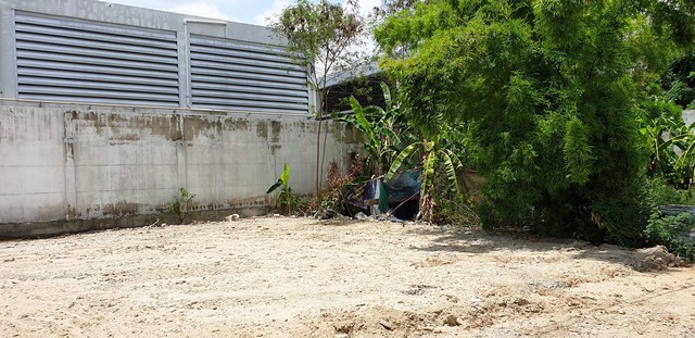 ขายที่ดินแปลงสวย-51-ตาราวา-ในซอยสายไหม-72-เข้าซอยเพียง-170-เมตร