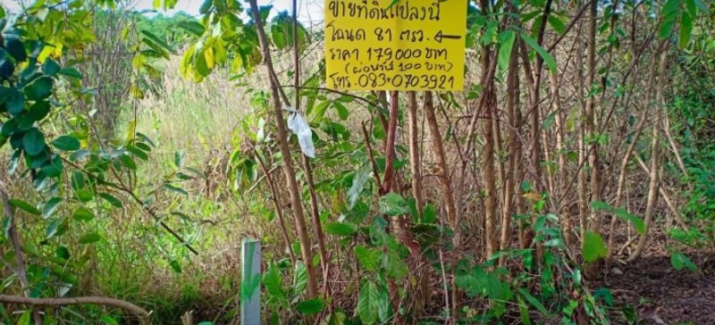 ขายที่ดินจัดสรร-เนื้อที่-81ตรว-ราคา179000บาท-ผ่อนวัน100บาท-มีน้ำ-ไฟฟ้า