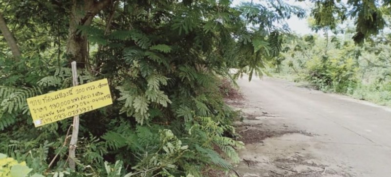 ขายที่ดินเนื้อที่100-ตรวราคา190000บาท