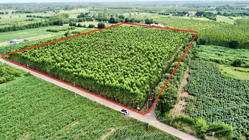 ขายถูก-ที่ดิน-กบินทร์บุรี-ปราจีนบุรี