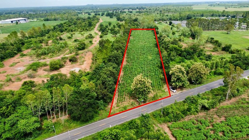 ขายที่ดิน-ศรีมหาโพธิ-ปราจีนบุรี