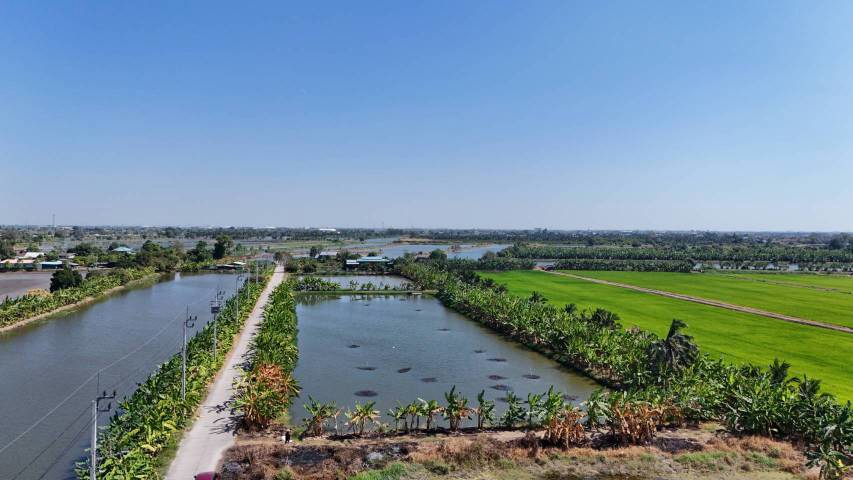 ขายที่ดิน-1-ไร่-ซอยวัดบัวโรย-สมุทรปราการ