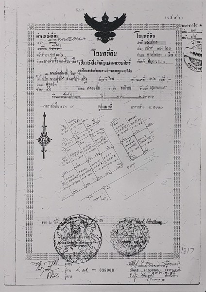 ขายที่ดิน-251ตรวา-ถมแล้ว-แปลงหัวมุม-ทางเข้าออกสะดวก