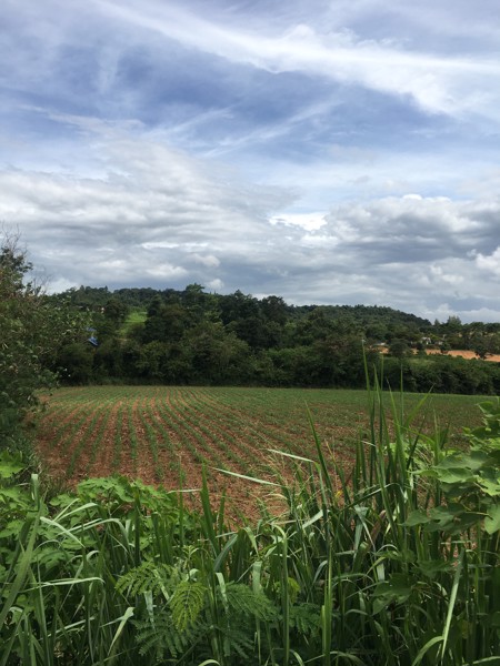 ขายที่ดินเขาใหญ่-ติดถนนลาดยาง-ติดแม่น้ำ-10-ไร่-49-ตารางวา-ใกล้ตลาดน้ำเขาใหญ่-วิวสวย