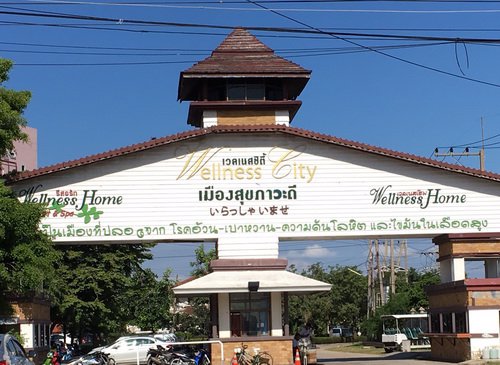 ขายที่ดินเปล่า-บางไทร-เวลเนสซิตี้-ราคาต่ำกว่าประเมิน