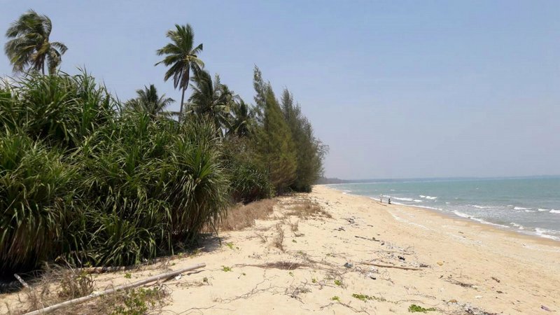 ขายที่ดิน-ติดทะเล-บางสะพาน-ประจวบคีรีขันธ์