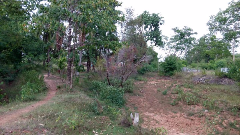 ขายที่ดินตรงข้าม-นพค26-ติดคลองชลประทาน-มีน้ำใช้ตลอดปี-อพรรณานิคม-จสกลนคร