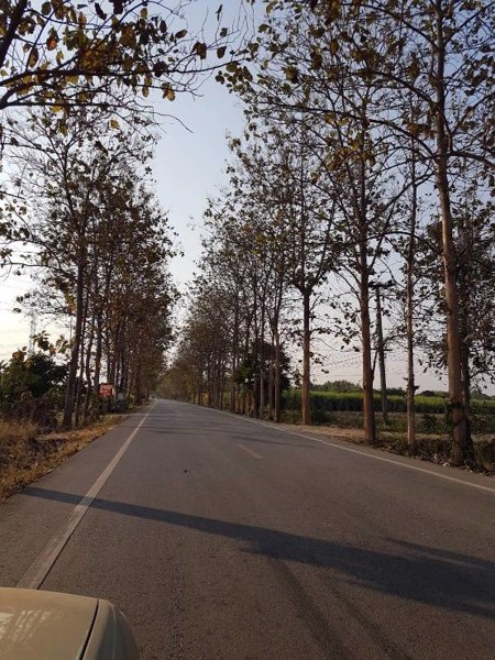 ขายที่ดิน-มีโฉนด-ราคาถูก-ตห้วยทรายเหนือ-อชะอำ-จเพชรบุรี