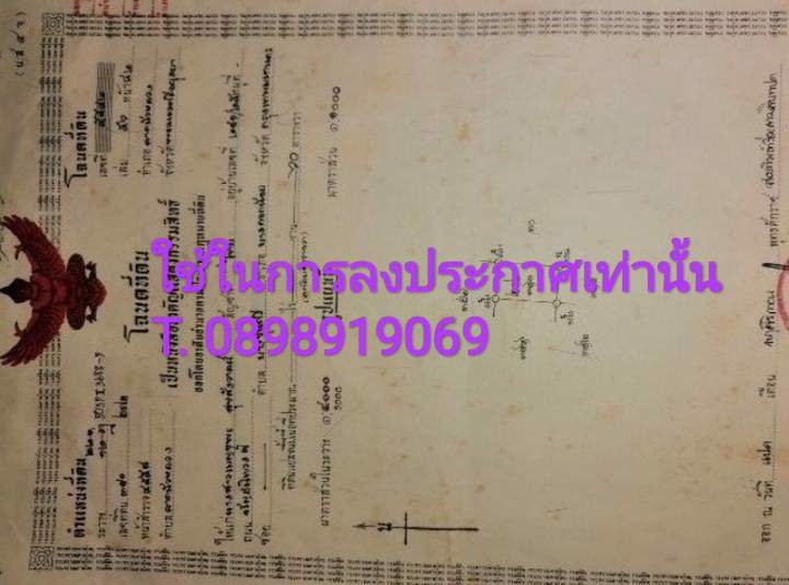 ที่ดินถมแล้วพร้อมสร้างบ้าน-ใกล้ถนนใหญ่-อลาดบัวหลวง-จอยุธยา