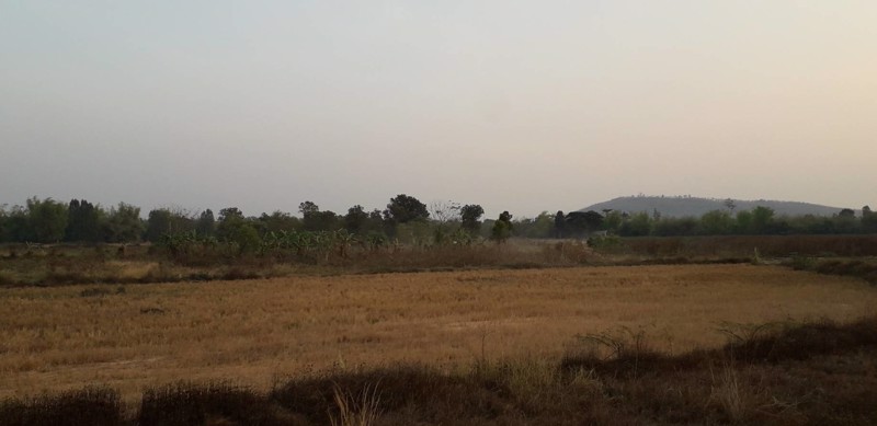 ที่ดินเปล่า-ไร่ละ-77500-ตภูแล่นช้าง-อนาคู-จกาฬสินธ์ุ