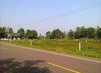 ที่ดินเปล่า-มีไฟฟ้า-น้ำประปา-น้ำไม่ท่วม-อำเภอเมือง-จังหวัดหนองคาย
