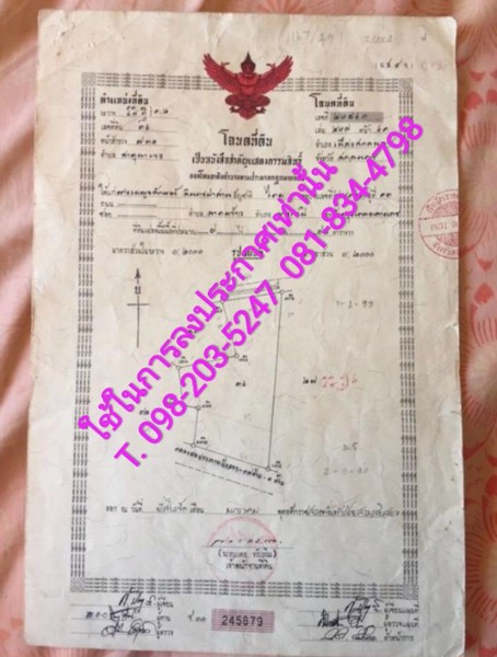 ที่ดินเปล่า-มีโฉนด-ราคาถูก-ตธาตุนาเวง-อเมือง-จสกลนคร