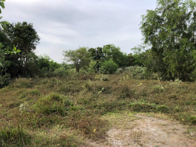 ขายที่ดิน-บางคล้า-ฉะเชิงเทรา