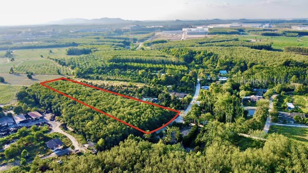 ขายด่วน-ที่ดิน-อบ้านค่าย-จระยอง