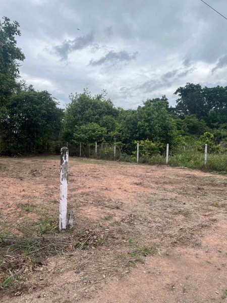 ขายที่ดินเหมาะปลูกบ้าน-50-ตรวโคกสูง-โคราช