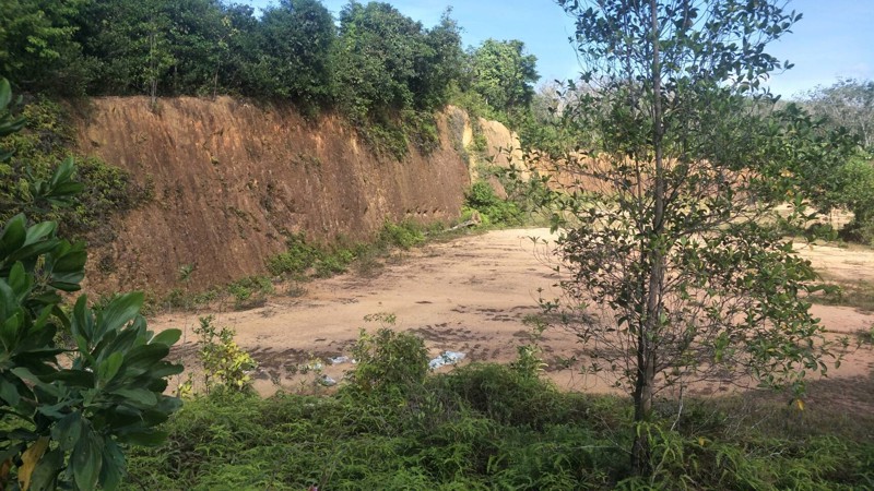 ขายที่ดิน-36ไร่-2งาน-919ตารางวา-อำเภอระแงะ-จังหวัดนราธิวาส