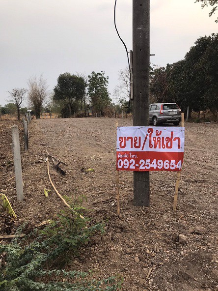 ขายที่ดินเปล่า-2แปลง-บ้านหนองบัวใหญ่-ตรงข้ามการประปาจัตุรัส-ชัยภูมิ