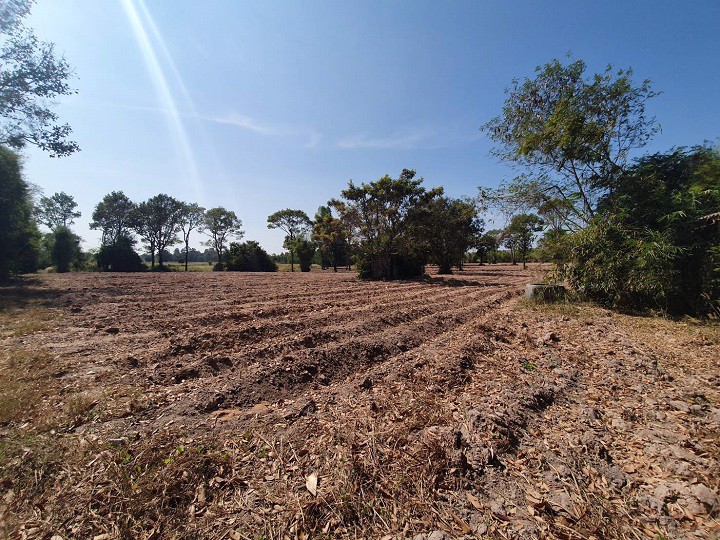 ขายที่ดินสูง-กบินทร์บุรี-เนื้อที่-22-ไร่ไม่ต้องถม-ทาง-2-ด้าน-มีไฟฟ้า-3-เฟส-ประปา