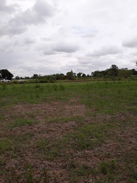 ขายที่ดิน-เนื้อที่-5-ไร่-1-งาน-81-ตรว-ตช่องสามหมอ-อคอนสวรรค์-จชัยภูมิ