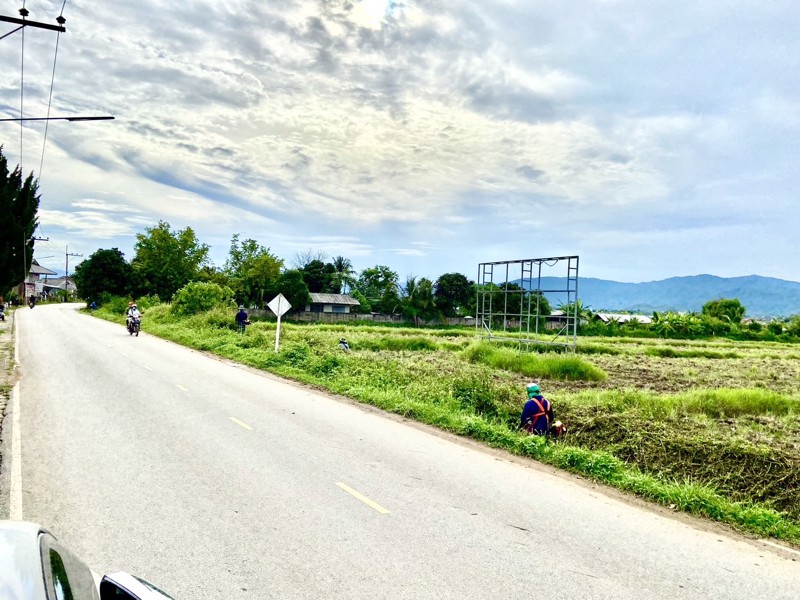 ขายที่ดิน-เนื้อที่-17-ไร่-1-งาน-50-ตารางวา