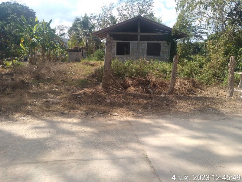ขายที่ดิน-เนื้อที่-309-ตารางวาพร้อมบ้านปูน1หลัง