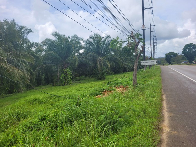 ขาย-ที่ดิน-ที่สวย-ทำเลดี-ปรับปรุงราคาใหม่-ตะกั่วทุ่ง-พังงา