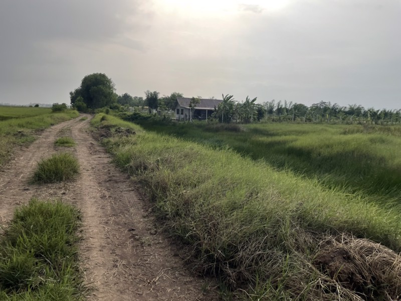 ขายด่วน-ที่ดินเนื้อที่-4ไร่-2-งาน-61ตารางวา-ขายยกแปลง