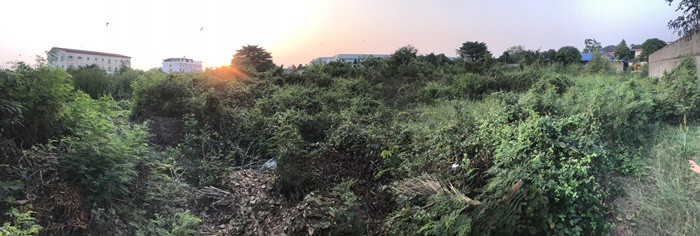 ขาย-ที่ดินเปล่า-249-ตรว-โครงการสินพัฒนาธานี-เหมาะสร้างบ้าน-โกดัง-คลังสินค้า-ใกล้สนามหลวง2-ถมแล้ว-ทำ