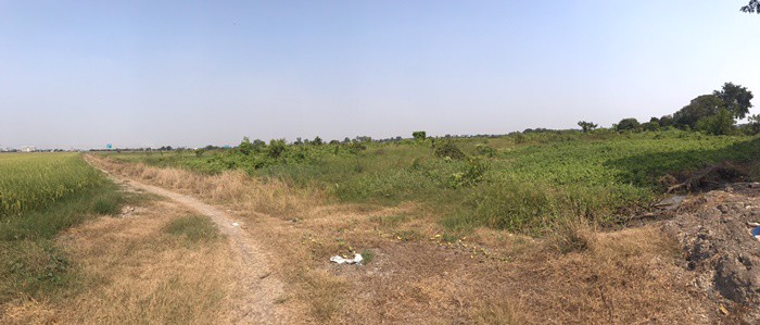 ขาย-ที่ดินเปล่า-29ไร่-ถนนราชพฤกษ์-ปทุมธานี