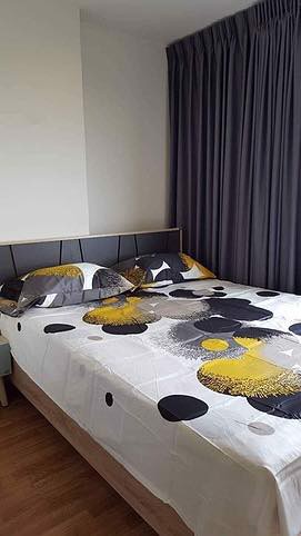 3613-ให้เช่า-ลุมพินี-พาร์ค-เพชรเกษม-98