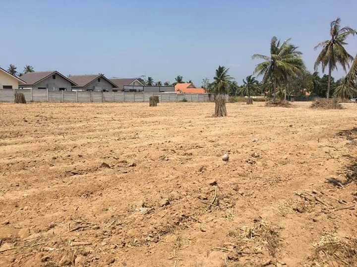 ขายที่ดิน-14-ไร่-ตำบล-หนองปลาไหล-อำเภอบางละมุง-ชลบุรี