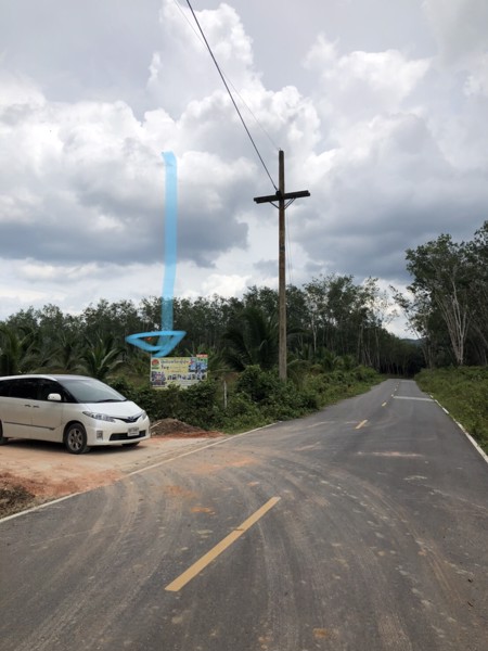 ขายที่ดินพร้อมมะพร้าวน้ำหอมและบ้าน-1-หลัง-เนื้อที่ทั้งหมด-145-ไร่