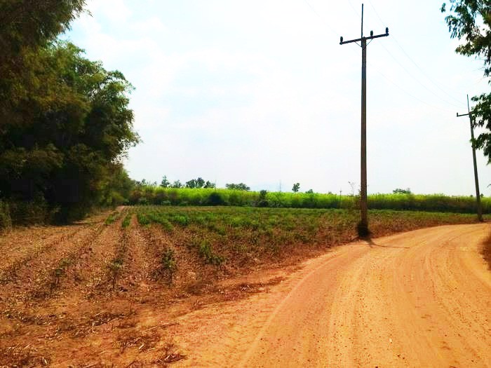 ขายที่ดิน-5-ไร่-ติดนิคมอุตสาหกรรม-หนองใหญ่-จชลบุรี