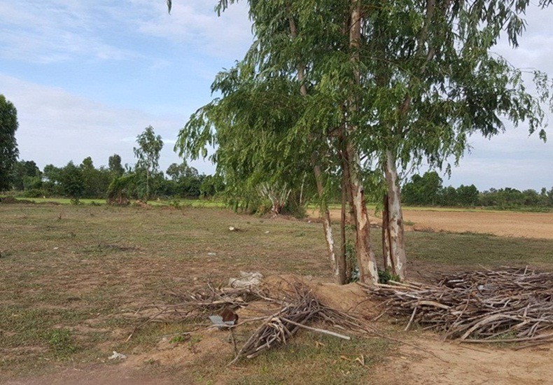 ขายที่ดิน-5-ไร่-อำเภอกันทรวิชัย-จ-มหาสารคาม