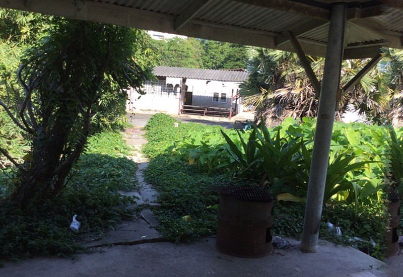 ขายที่ดิน-4-ไร่-ซอ่อนนุช17-แยก-16-สวนหลวง-กรุงเทพมหานคร