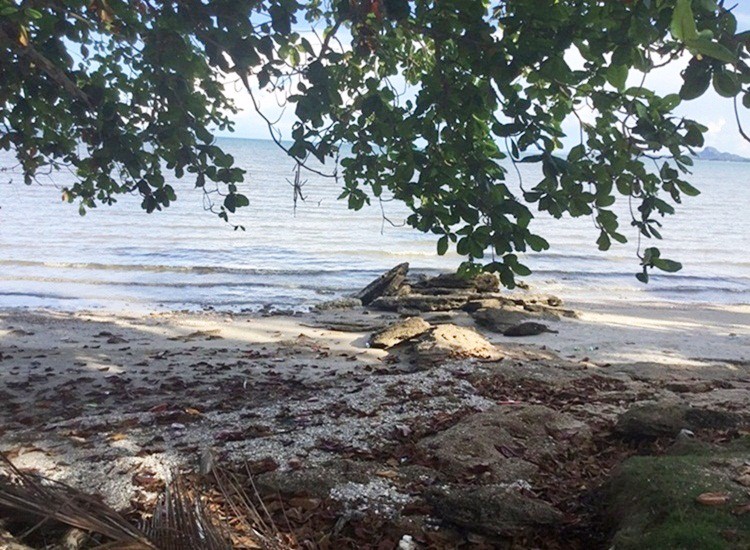 ขายที่ดินติดทะเล-ติดถนน-อ-หลังสวน-จ-ชุมพร