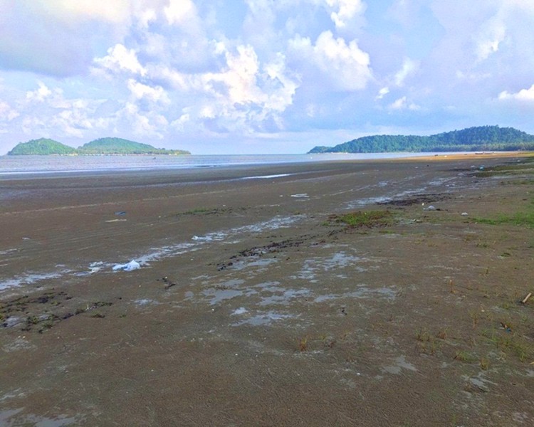 ขายที่ดินติดทะเล-มีถนนผ่ากลาง-หลังสวน-จ-ชุมพร