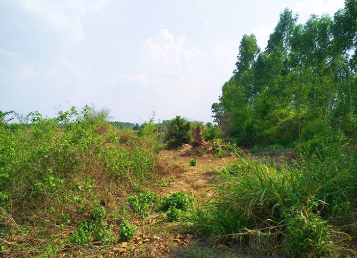 ขายที่ดิน-เนื้อที่-2-ไร่-เกาะจันทร์-ชลบุรี